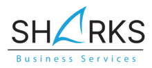 My Website